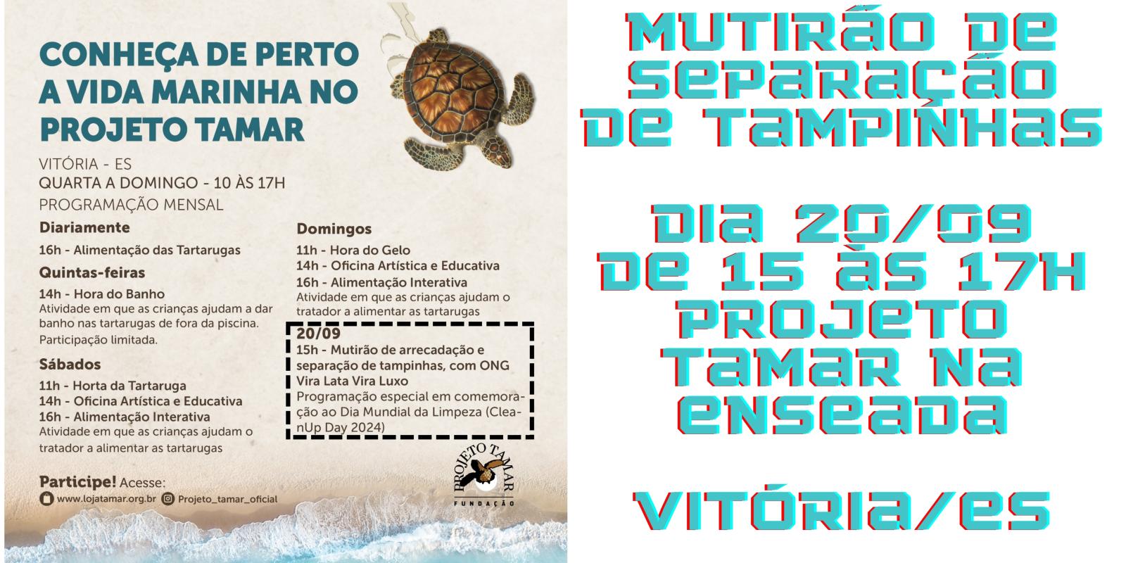 Mutirão de Separação de Tampinhas no Projeto Tamar