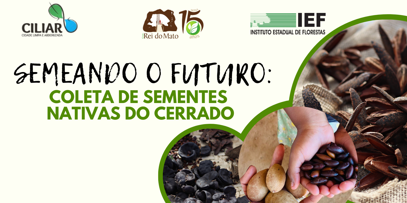 Semeando o Futuro: Coleta de Sementes Nativas do Cerrado 